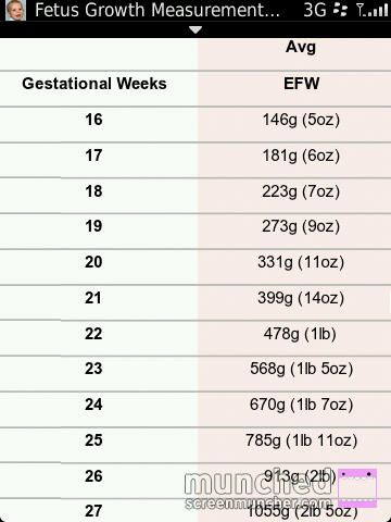 fetal weight chart babycentre fetal height chart